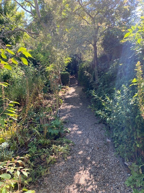 Garden path in Rye