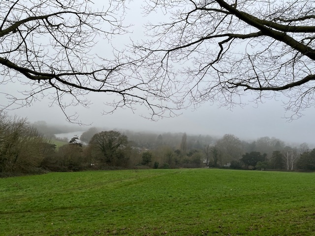 Photo of a field