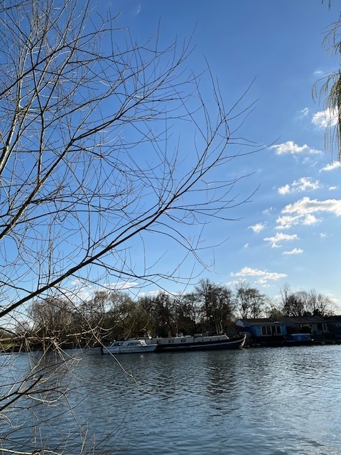 Photo of the Thames from the riverbank beside Garrick's Temple to Shakespeare