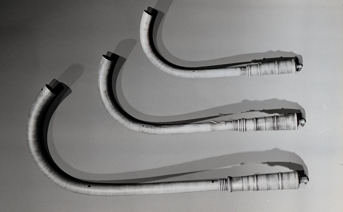 Photograph of three crumhorns